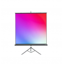 131" Экран для проектора Lumien Master View LMV-100105