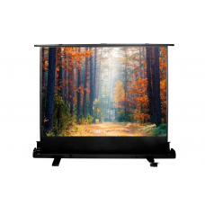 99" Экран для проектора Cactus FloorExpert CS-PSFLE-200X150