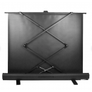 91" Экран для проектора Cactus FloorExpert CS-PSFLE-200X113