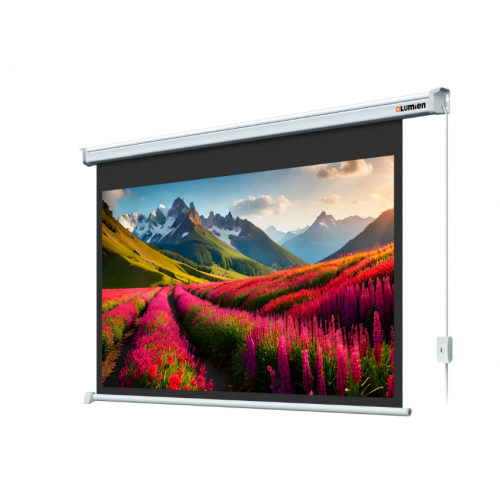 110" Экран для проектора Lumien Master Control LMC-100103