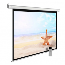 141" Экран для проектора Cactus SIlverMotoExpert CS-PSSME-300X188-WT