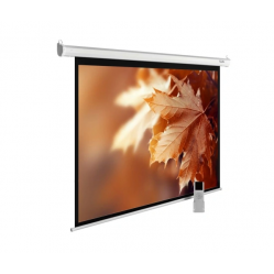 110" Экран для проектора Cactus SIlverMotoExpert CS-PSSME-240X150-DG