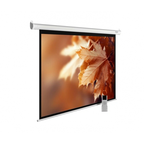 110" Экран для проектора Cactus SIlverMotoExpert CS-PSSME-240X150-DG