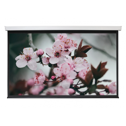 150" Экран для проектора Digis DSEF-16907